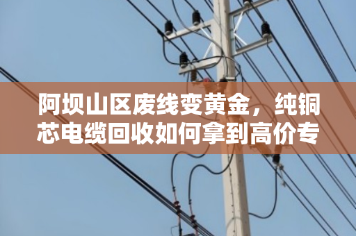 阿坝山区废线变黄金，纯铜芯电缆回收如何拿到高价专属报价？泊祎回收给您算明白账
