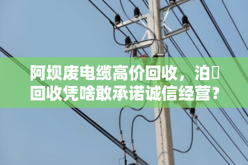 阿坝废电缆高价回收，泊祎回收凭啥敢承诺诚信经营？拒绝低价套路，这才是行业清流