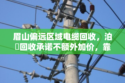 眉山偏远区域电缆回收,泊祎回收承诺不额外加价,靠谱又省心 眉山偏远区域电缆回收,泊祎回收承诺不额外加价,靠谱又省心