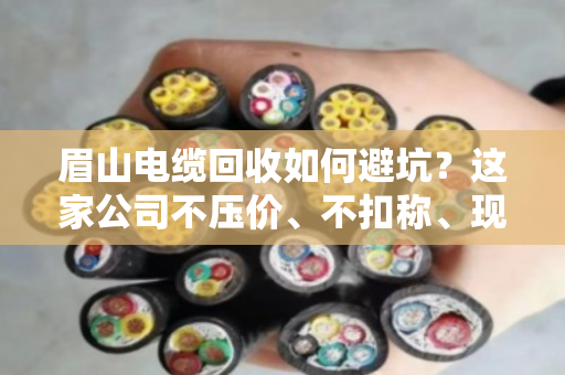 眉山电缆回收如何避坑?这家公司不压价、不扣称、现款现结让我省心又赚钱 眉山电缆回收如何避坑?这家公司不压价、不扣称、现款现结让我省心又赚钱