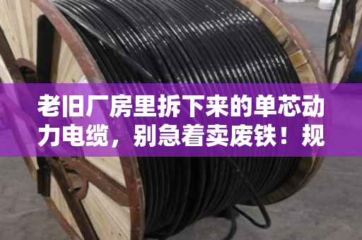 老旧厂房里拆下来的单芯动力电缆,别急着卖废铁!规格对了,回收价能翻几倍 老旧厂房里拆下来的单芯动力电缆,别急着卖废铁!规格对了,回收价能翻几倍