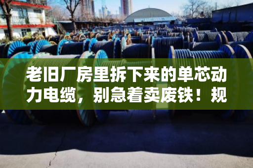 老旧厂房里拆下来的单芯动力电缆,别急着卖废铁!规格对了,回收价能翻几倍 老旧厂房里拆下来的单芯动力电缆,别急着卖废铁!规格对了,回收价能翻几倍