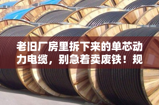 老旧厂房里拆下来的单芯动力电缆，别急着卖废铁！规格对了，回收价能翻几倍
