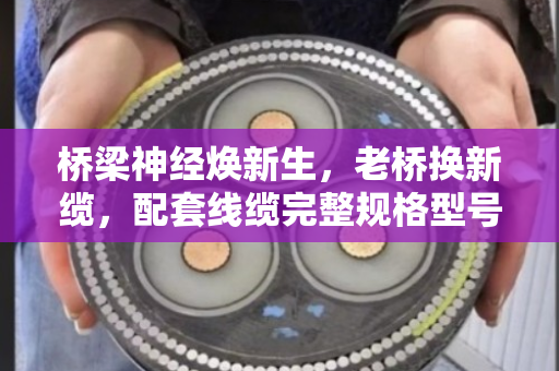 桥梁神经焕新生,老桥换新缆,配套线缆完整规格型号回收全解析 桥梁神经焕新生,老桥换新缆,配套线缆完整规格型号回收全解析