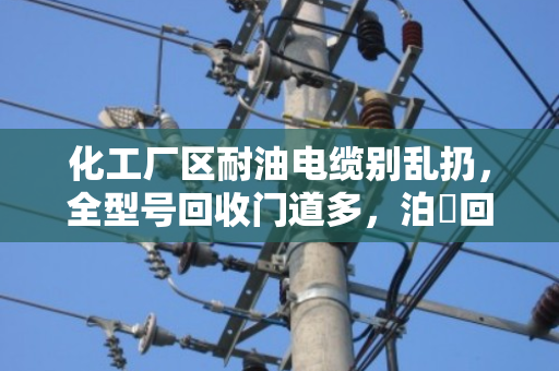 化工厂区耐油电缆别乱扔，全型号回收门道多，泊祎回收讲透讲明白