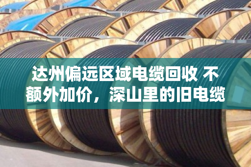 达州偏远区域电缆回收 不额外加价,深山里的旧电缆,也能卖出明白价 达州偏远区域电缆回收 不额外加价,深山里的旧电缆,也能卖出明白价