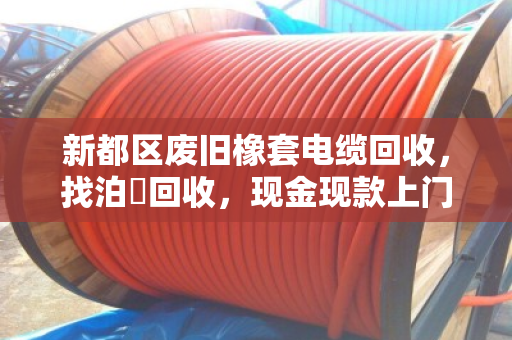新都区废旧橡套电缆回收,找泊祎回收,现金现款上门省心 新都区废旧橡套电缆回收,找泊祎回收,现金现款上门省心