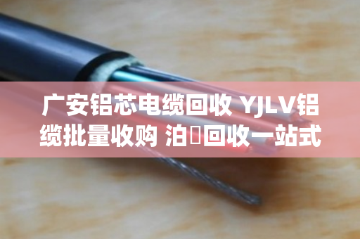 广安铝芯电缆回收 YJLV铝缆批量收购 泊祎回收一站式服务更省心