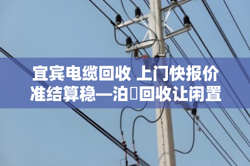宜宾电缆回收 上门快报价准结算稳—泊祎回收让闲置电缆变废为宝