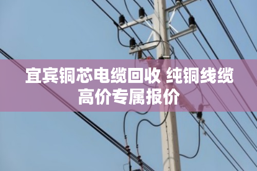 宜宾铜芯电缆回收 纯铜线缆高价专属报价