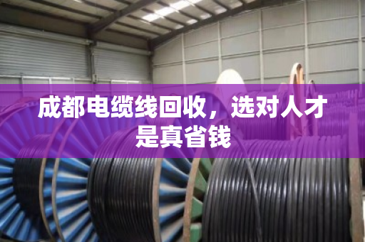 成都电缆线回收,选对人才是真省钱 成都电缆线回收,选对人才是真省钱