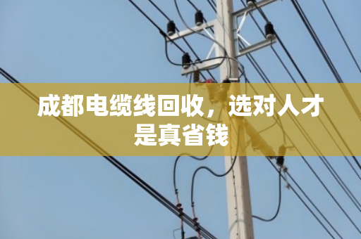 成都电缆线回收,选对人才是真省钱 成都电缆线回收,选对人才是真省钱