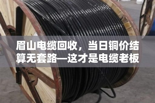 眉山电缆回收,当日铜价结算无套路—这才是电缆老板该找的回收商 眉山电缆回收,当日铜价结算无套路—这才是电缆老板该找的回收商