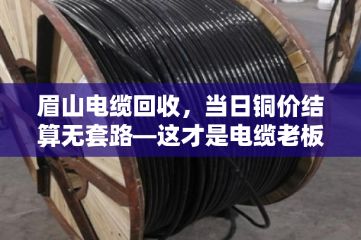眉山电缆回收,当日铜价结算无套路—这才是电缆老板该找的回收商 眉山电缆回收,当日铜价结算无套路—这才是电缆老板该找的回收商