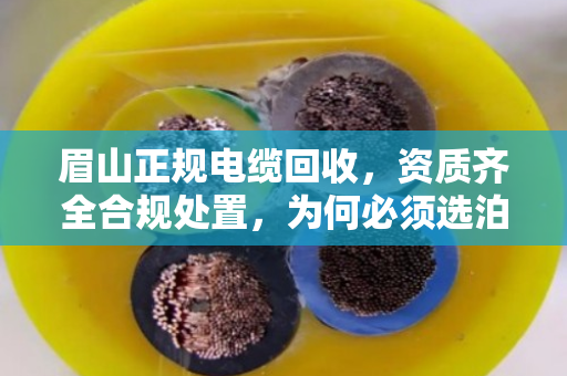 眉山正规电缆回收,资质齐全合规处置,为何必须选泊祎回收? 眉山正规电缆回收,资质齐全合规处置,为何必须选泊祎回收?