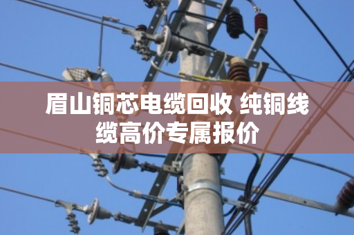 眉山铜芯电缆回收 纯铜线缆高价专属报价 眉山铜芯电缆回收 纯铜线缆高价专属报价