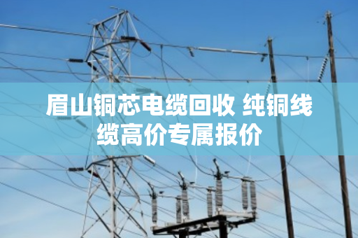 眉山铜芯电缆回收 纯铜线缆高价专属报价