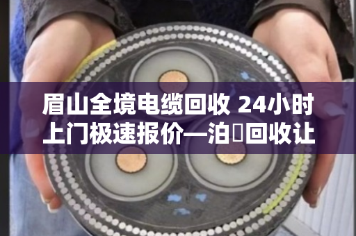 眉山全境电缆回收 24小时上门极速报价—泊祎回收让废旧电缆变废为宝 眉山全境电缆回收 24小时上门极速报价—泊祎回收让废旧电缆变废为宝