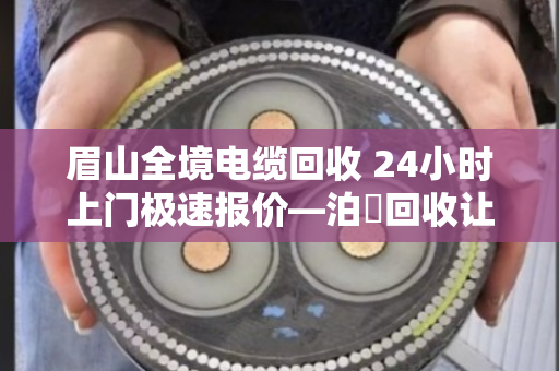 眉山全境电缆回收 24小时上门极速报价—泊祎回收让废旧电缆变废为宝
