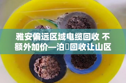 雅安偏远区域电缆回收 不额外加价—泊祎回收让山区废旧电缆变现不再难 雅安偏远区域电缆回收 不额外加价—泊祎回收让山区废旧电缆变现不再难
