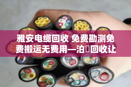 雅安电缆回收 免费勘测免费搬运无费用—泊祎回收让闲置电缆变废为宝 雅安电缆回收 免费勘测免费搬运无费用—泊祎回收让闲置电缆变废为宝