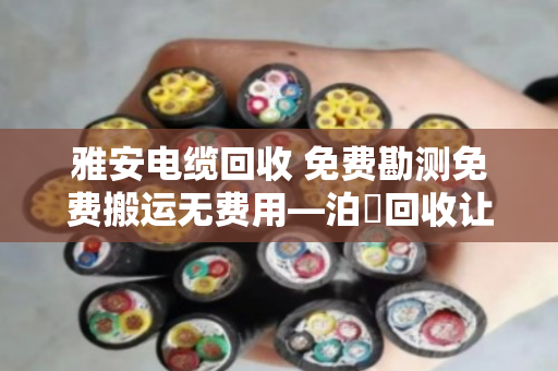 雅安电缆回收 免费勘测免费搬运无费用—泊祎回收让闲置电缆变废为宝 雅安电缆回收 免费勘测免费搬运无费用—泊祎回收让闲置电缆变废为宝