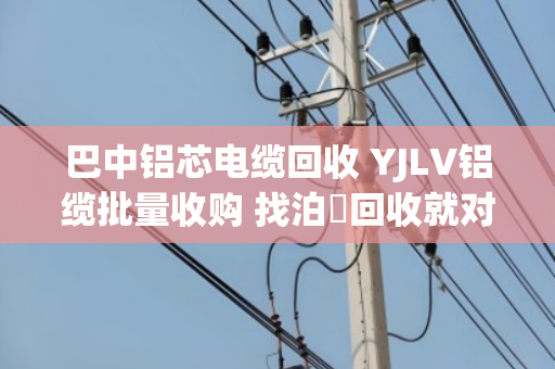 巴中铝芯电缆回收 YJLV铝缆批量收购 找泊祎回收就对了 巴中铝芯电缆回收 YJLV铝缆批量收购 找泊祎回收就对了
