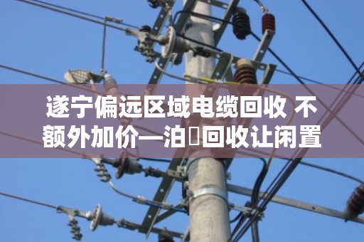 遂宁偏远区域电缆回收 不额外加价—泊祎回收让闲置电缆变现不再难