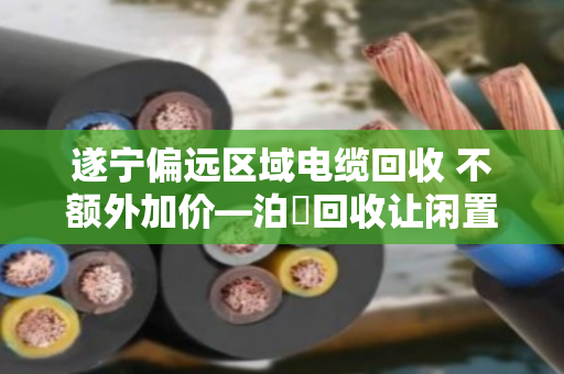 遂宁偏远区域电缆回收 不额外加价—泊祎回收让闲置电缆变现不再难