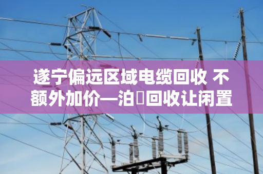 遂宁偏远区域电缆回收 不额外加价—泊祎回收让闲置电缆变现不再难