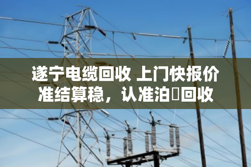 遂宁电缆回收 上门快报价准结算稳，认准泊祎回收