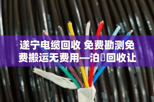 遂宁电缆回收 免费勘测免费搬运无费用—泊祎回收让闲置电缆变现金 遂宁电缆回收 免费勘测免费搬运无费用—泊祎回收让闲置电缆变现金