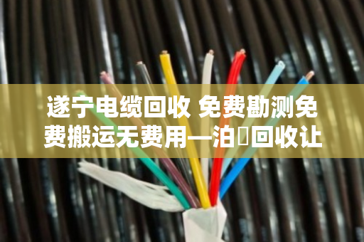 遂宁电缆回收 免费勘测免费搬运无费用—泊祎回收让闲置电缆变现金 遂宁电缆回收 免费勘测免费搬运无费用—泊祎回收让闲置电缆变现金