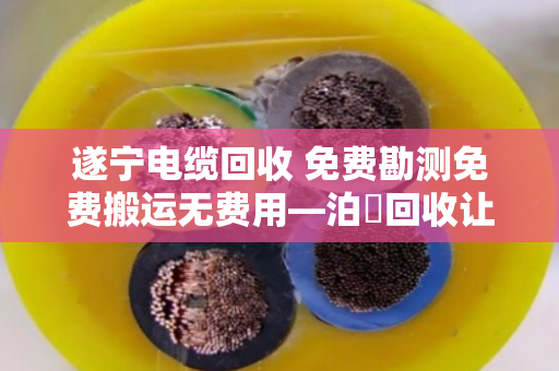 遂宁电缆回收 免费勘测免费搬运无费用—泊祎回收让闲置电缆变现金