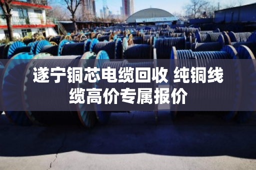 遂宁铜芯电缆回收 纯铜线缆高价专属报价