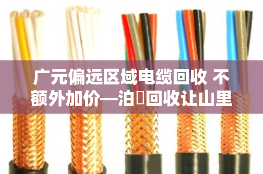 广元偏远区域电缆回收 不额外加价—泊祎回收让山里人卖废品不再吃亏 广元偏远区域电缆回收 不额外加价—泊祎回收让山里人卖废品不再吃亏