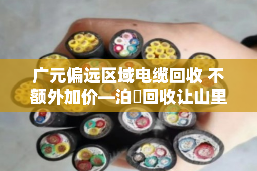 广元偏远区域电缆回收 不额外加价—泊祎回收让山里人卖废品不再吃亏