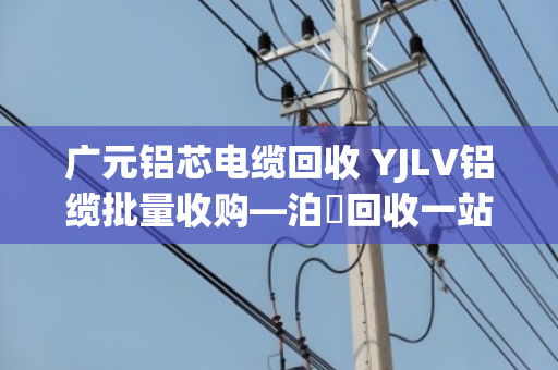 广元铝芯电缆回收 YJLV铝缆批量收购—泊祎回收一站式服务实地探访