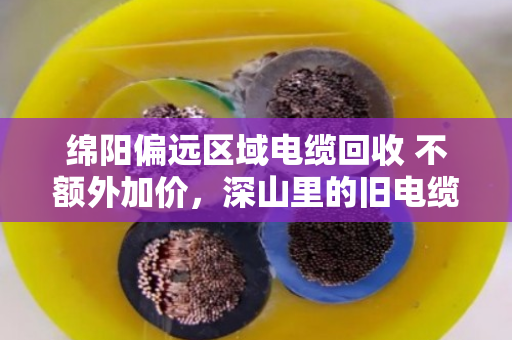 绵阳偏远区域电缆回收 不额外加价，深山里的旧电缆，终于不用再倒贴钱处理了