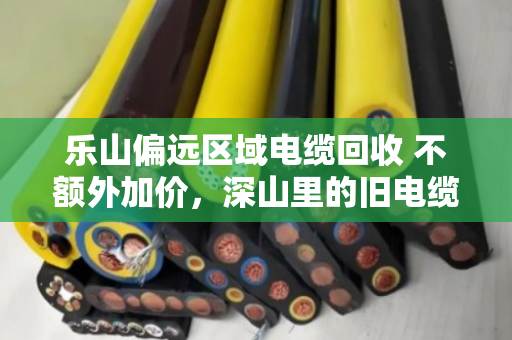 乐山偏远区域电缆回收 不额外加价，深山里的旧电缆，终于等来了实在人