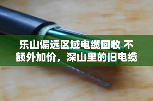 乐山偏远区域电缆回收 不额外加价，深山里的旧电缆，终于等来了实在人