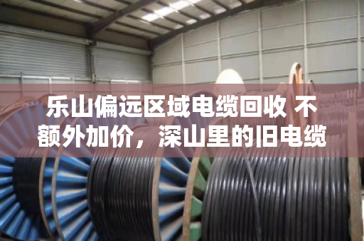 乐山偏远区域电缆回收 不额外加价，深山里的旧电缆，终于等来了实在人