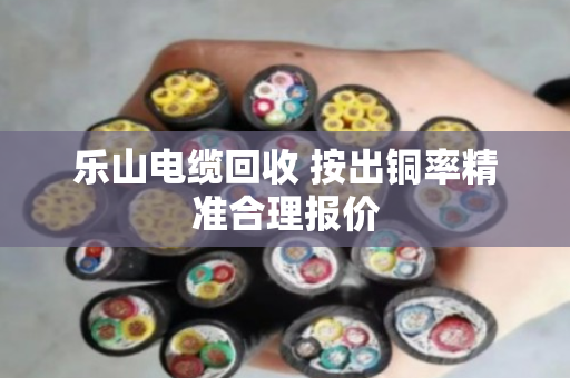 乐山电缆回收 按出铜率精准合理报价