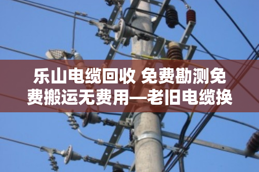 乐山电缆回收 免费勘测免费搬运无费用—老旧电缆换真金，泊祎回收让您省心又增收