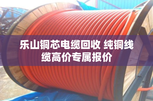 乐山铜芯电缆回收 纯铜线缆高价专属报价