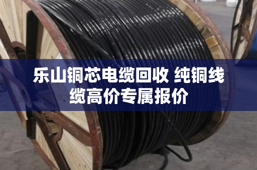 乐山铜芯电缆回收 纯铜线缆高价专属报价