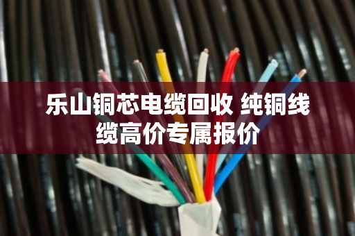 乐山铜芯电缆回收 纯铜线缆高价专属报价