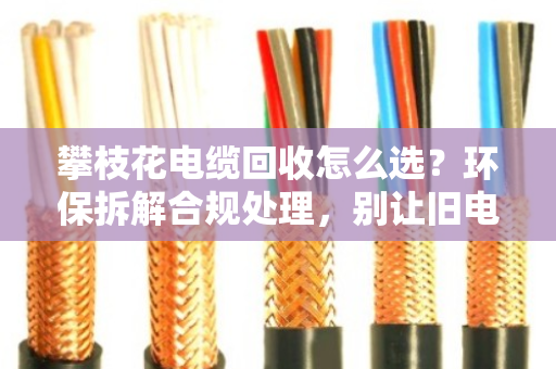 攀枝花电缆回收怎么选?环保拆解合规处理,别让旧电缆变成生态炸弹 攀枝花电缆回收怎么选?环保拆解合规处理,别让旧电缆变成生态炸弹
