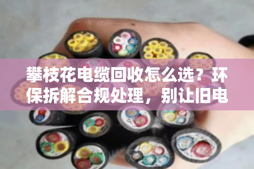 攀枝花电缆回收怎么选?环保拆解合规处理,别让旧电缆变成生态炸弹 攀枝花电缆回收怎么选?环保拆解合规处理,别让旧电缆变成生态炸弹