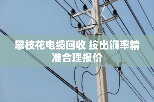 攀枝花电缆回收 按出铜率精准合理报价